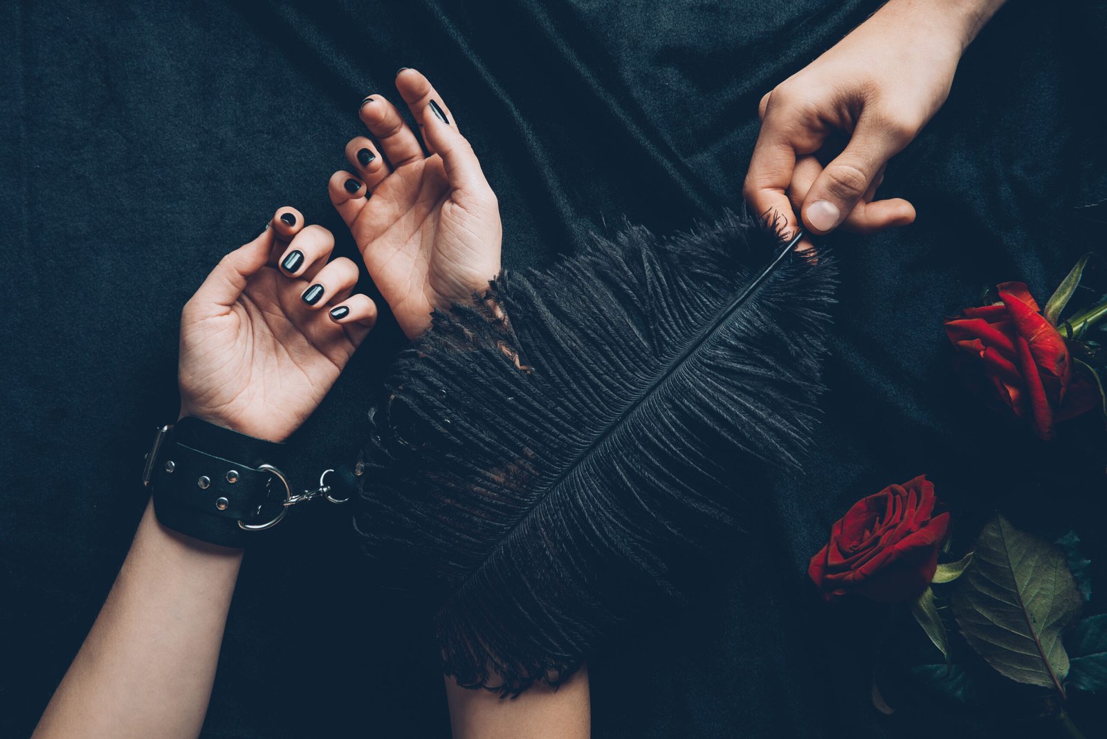 cropped shot of man holding black feather and woman in leather handcuffs